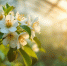 article22855.jpg - 59i.Ru