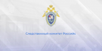 Следственный комитет России предупреждает подростков об ответственности за совершение противоправных действий - Следственный комитет
