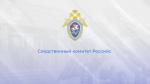 Следственный комитет России предупреждает подростков об ответственности за совершение противоправных действий
