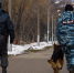 За две недели полиция задержала 48 человек, находившихся в розыске - Новости Перми PermNews.Ru