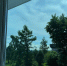 Хозяйкам подсказали удобный способ ухода за окнами: чем натереть стёкла, чтобы дождь не оставлял грязных разводов - Про Город Пермь