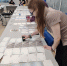 Весенние открытки - Библиотека им. А.М. Горького
