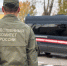 В Перми следователем СК России возбуждено уголовное дело по информации о ненадлежащей организации отлова безнадзорных собак - Следственный комитет