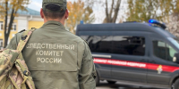 В Перми следователем СК России возбуждено уголовное дело по информации о ненадлежащей организации отлова безнадзорных собак - Следственный комитет