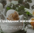 1 - Новый Компаньон
