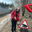 В Перми собирают «Жабий патруль», чтобы спасти амфибий от гибели на «кожаной дороге» - VikiPerm.Com