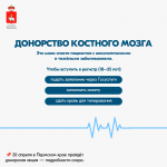 В России проходит Неделя популяризации донорства крови и костного мозга