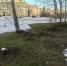Весна проталины - Новый Компаньон