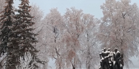 Снег зима - Новый Компаньон