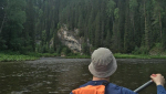 сплав