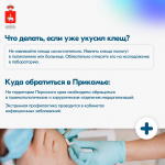 ОСТОРОЖНО: СЕЗОН КЛЕЩЕЙ!