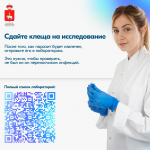 ОСТОРОЖНО: СЕЗОН КЛЕЩЕЙ!