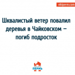 Трагедия в Чайковском: из-за ураганного ветра погибла девочка.