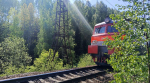 Прикамцы смогут весь июнь бесплатно возить в электричках домашних животных