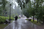 В начале июля в Пермском крае ожидается дождливая погода без сильной жары