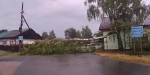 ураган повалил деревья