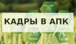 ОТБОР на предоставление субсидии на возмещение фактически понесенных затрат заказчикам ключевых проектов в целях предоставления выплат стимулирующего характера учителям.
