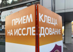 клещи