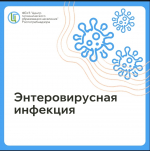 Осторожно, энтеровирус! Сезон открыт!
