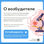 Осторожно, энтеровирус! Сезон открыт!