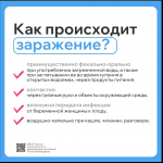 Осторожно, энтеровирус! Сезон открыт!