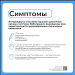 Осторожно, энтеровирус! Сезон открыт!