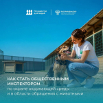 Как помогать животным и защищать природу: рассказываем про статус общественного инспектора