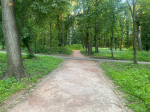 черняевский лес