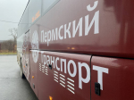 В Пермском крае обновят 368 автобусов на межмуниципальных маршрутах