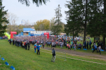 Кросс наций 2019