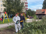 Сила общего дела: в муниципалитетах Прикамья приводят в порядок территории