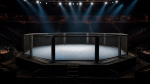 Том Аспиналл объяснил, почему отказался от чемпионского пояса UFC
