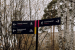 В Перми пройдет серия мероприятий в парках «Зеленого кольца» города